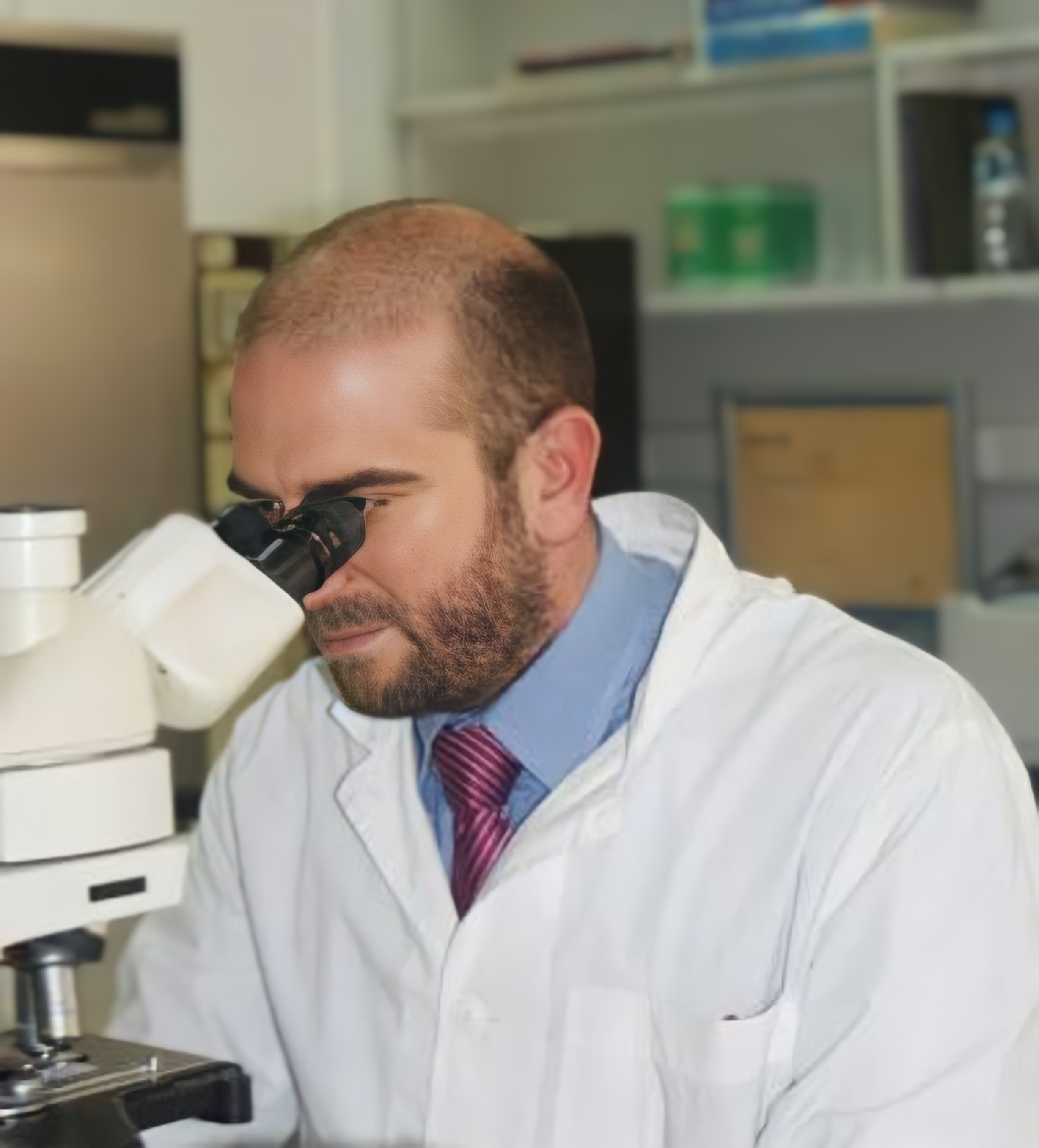 Dr. Μάνος Λογοθέτης